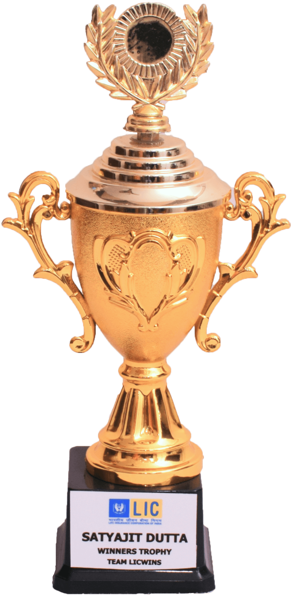 trophy 14